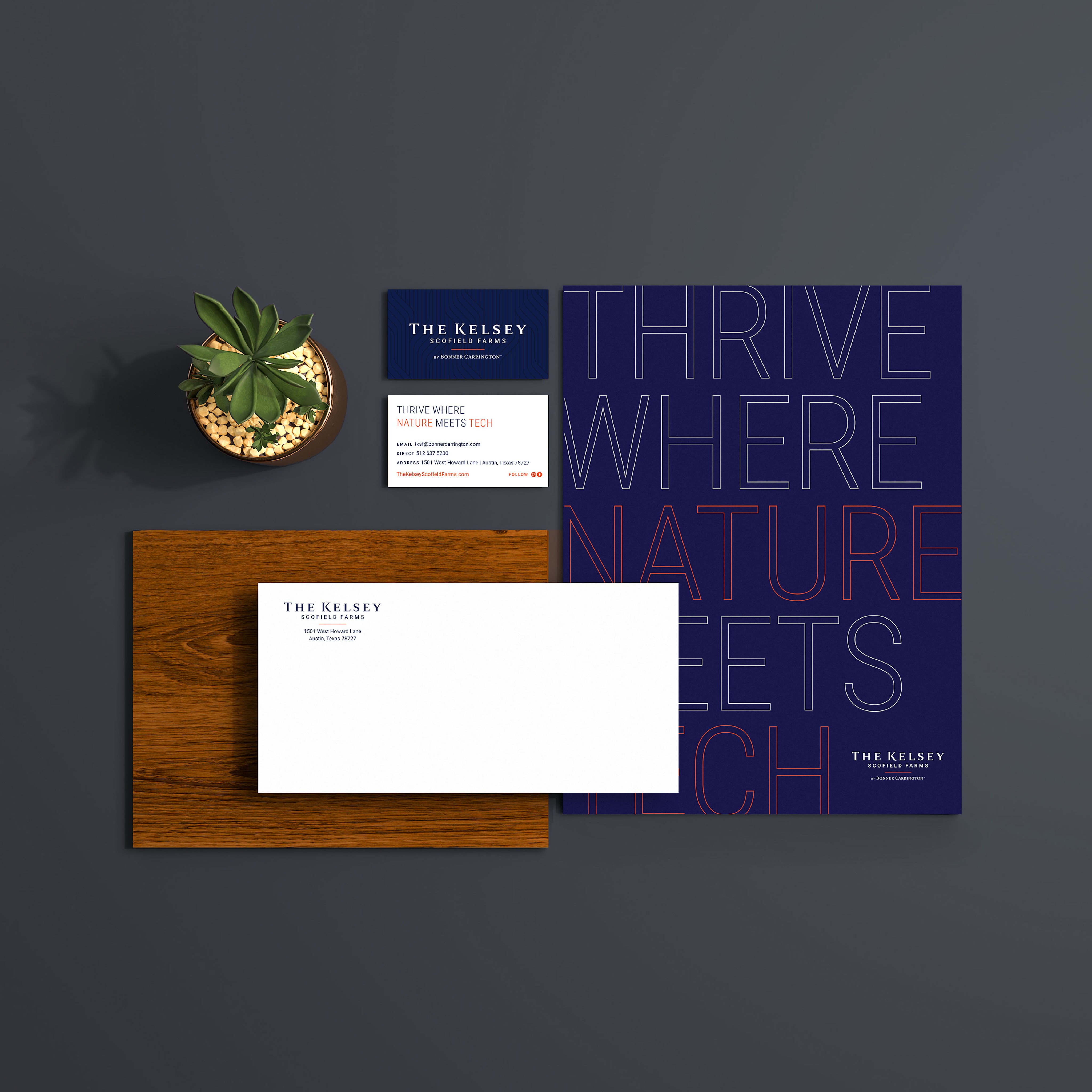 A flat lay of branded stationery for The Kelsey, including a folder, business card, envelope, and a potted succulent on a gray surface.