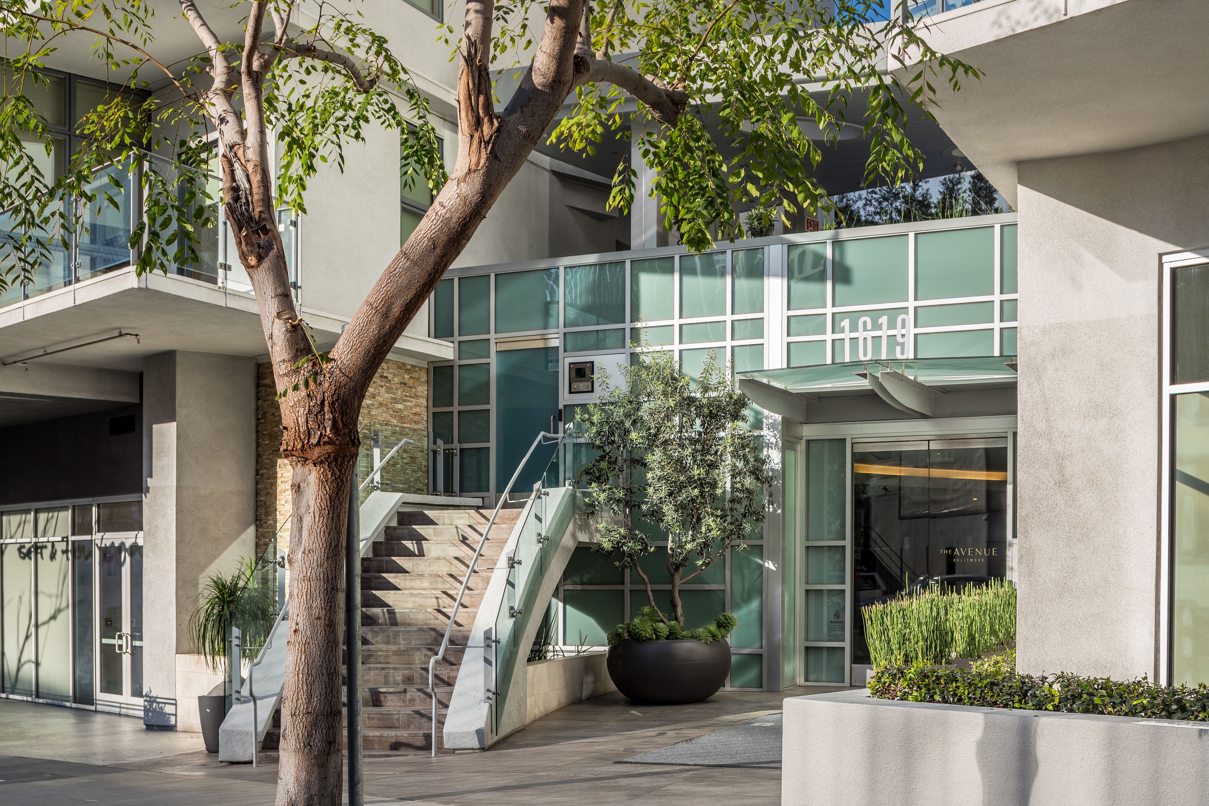 Modern building entrance with glass panels, stairs, and greenery, including a large potted plant and a tree in the foreground. Address "1010" is visible above the door.