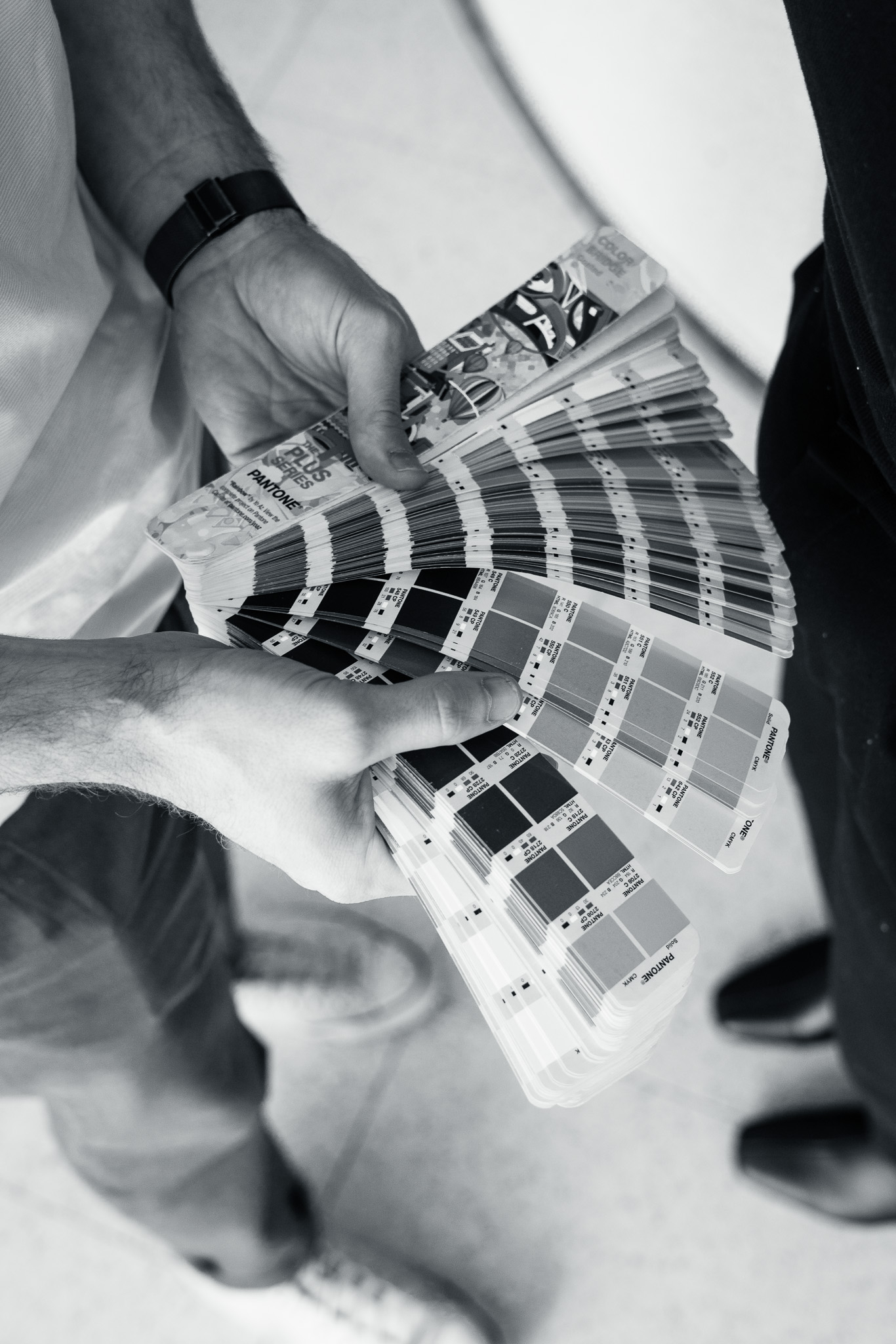 A person holds an open fan of color swatches, displaying various shades for selection.